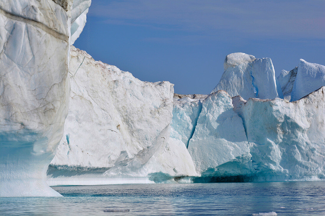 Disco bay; West Greenland; Icebergs in the Kangia Icefjord near Ilulissat; diverse ice formations; Steep walls at the foot hollowed out by the water; Cracks light turquoise; strange ice towers; blue sky; calm water surface; Seagulls fly between the icebergs