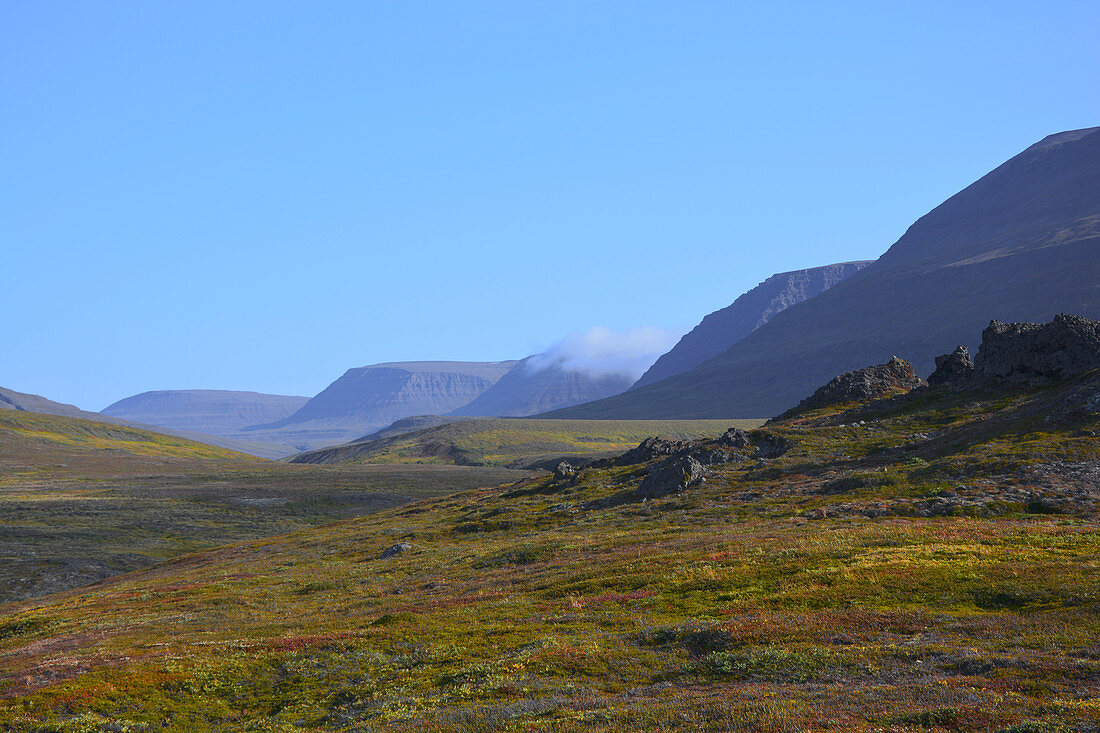 Mountain landscape at Qeqertarsuaq on Disko Island in West Greenland; low grasses and dwarf bushes in autumn colors; rocky, hilly terrain in the foreground; gently rising, rocky mountains in the background; the early morning deep clouds are almost gone;