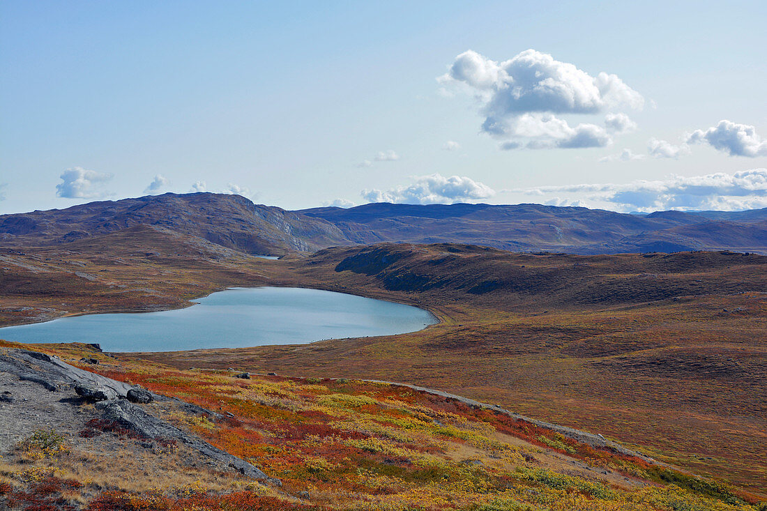 Landscape near Kangerlussuaq, West Greenland; small lake framed by hills; autumnal tundra vegetation; Leaves of the low plants have turned yellow and red; Mountains in the background; nice weather