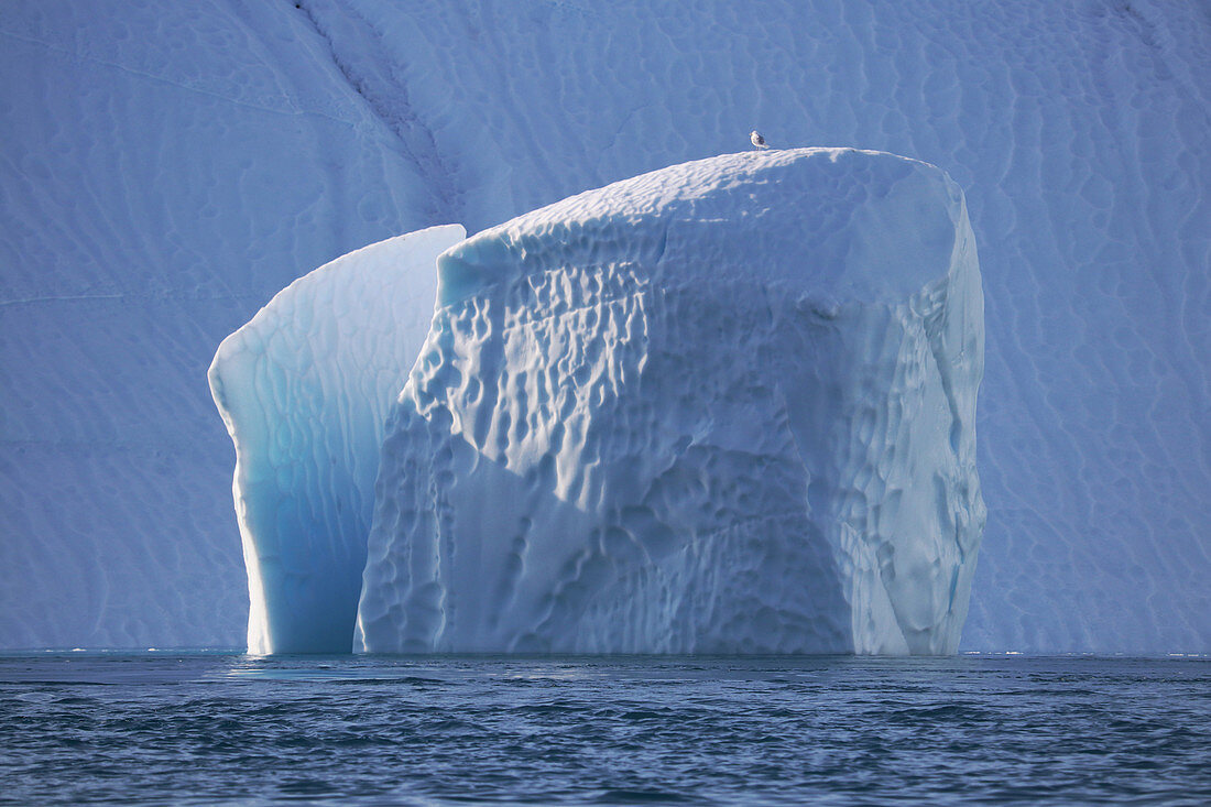 Diskobucht, Kangia Eisfjord bei Ilulissat gespaltener Eisberg mit Möwe auf der Kuppe, Westgrönland, Grönland