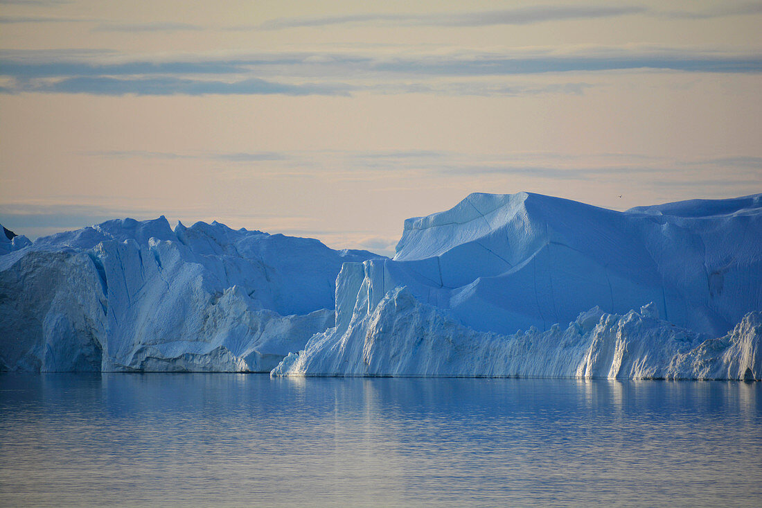Disco bay; West Greenland; Icebergs in the Kangia Icefjord near Ilulissat; Mountain landscape made of ice; Morning sun colors the sky light orange; Streaks of clouds run across the sky; Icebergs shimmer in many different shades of blue