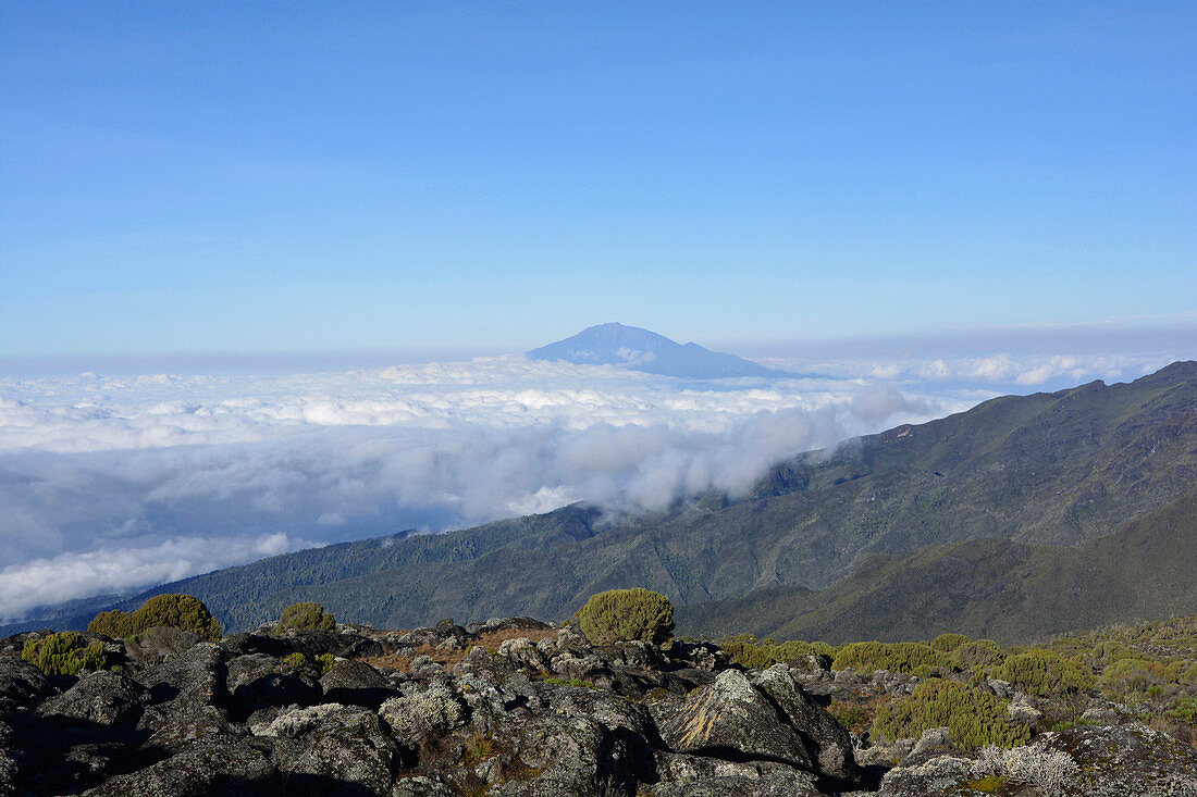 Mount Meru in Tanzania, East Africa, view from Kilimanjaro, sea of clouds, forested mountain slopes