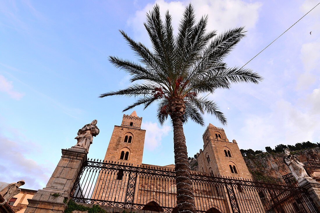 Old town on Duomo with palm tree, Cefalu, north coast, Sicily, Italy