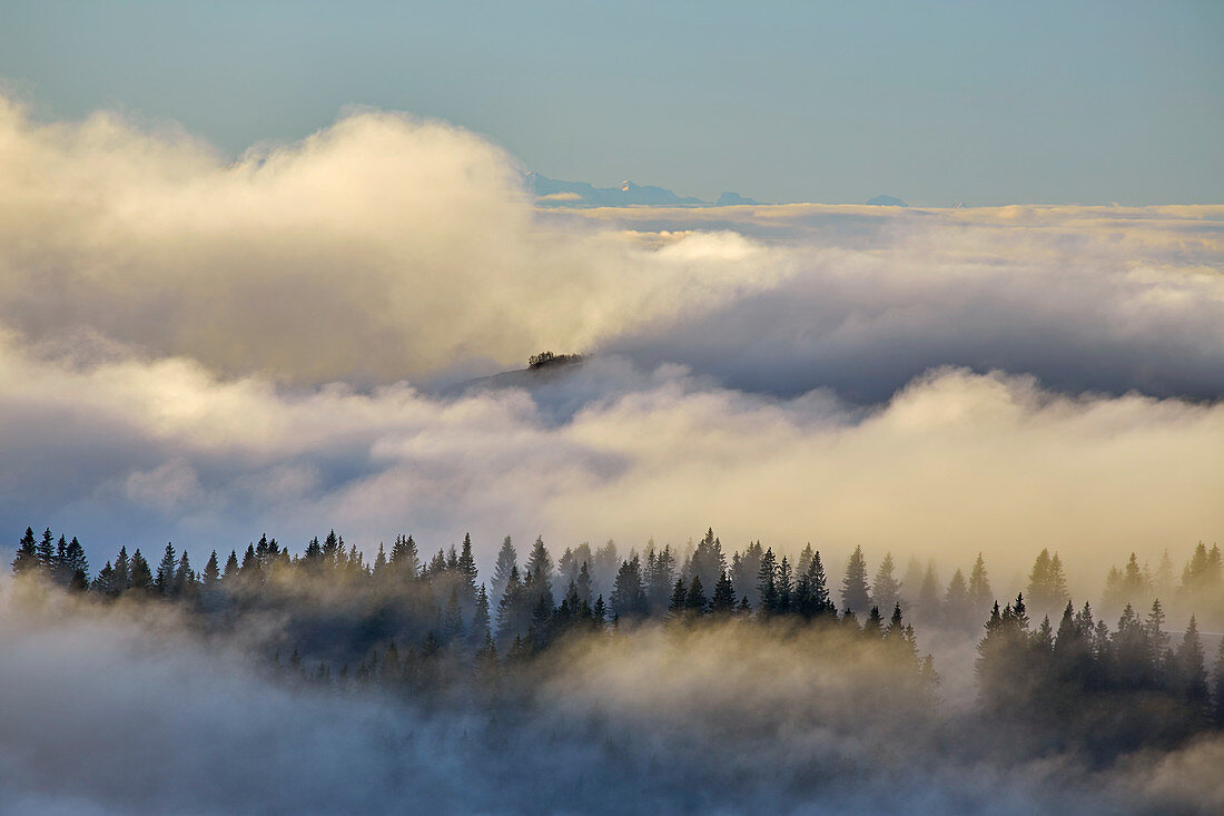 Blick vom Feldberg auf ein Nebelmeer, Schwarzwald, Baden-Württemberg, Deutschland