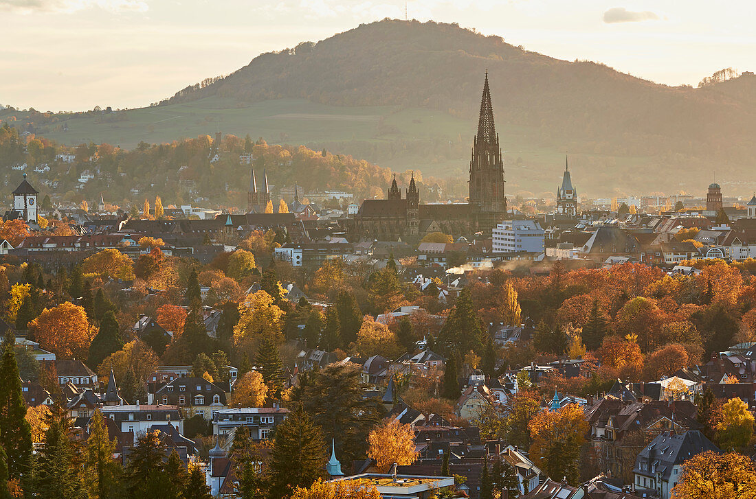 Freiburg Minster in autumn leaves, Freiburg, Breisgau, Southern Black Forest, Black Forest, Baden-Wuerttemberg, Germany, Europe