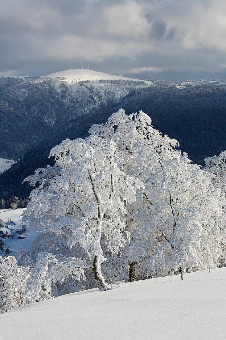 Blick vom Schauinsland zum Feldberg, Wintertag, Schnee, Schwarzwald, Baden-Württemberg, Deutschland