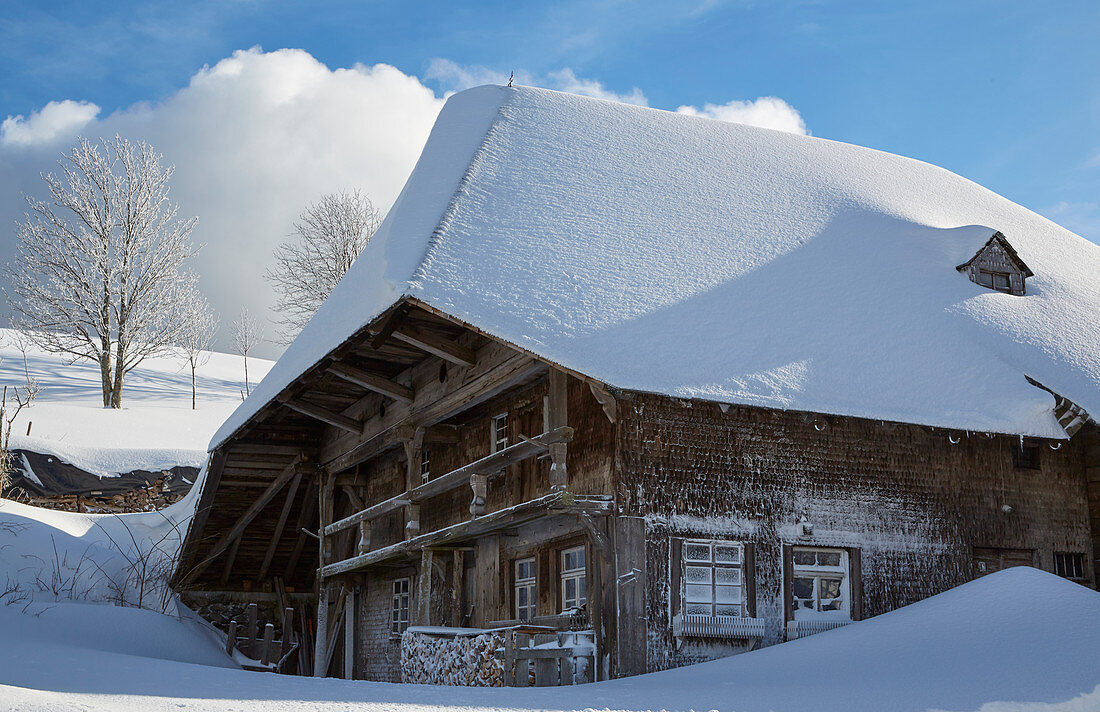 View of farm in Hofsgrund, winter, snow, Schauinsland, S? Dschwarzwald, Black Forest, Baden-W? Rttemberg, Germany, Europe