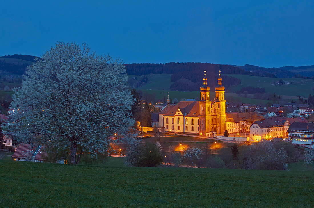 Spring in St. Peter, evening, Southern Black Forest Nature Park, Southern Black Forest, Black Forest, Baden-Wuerttemberg, Germany, Europe