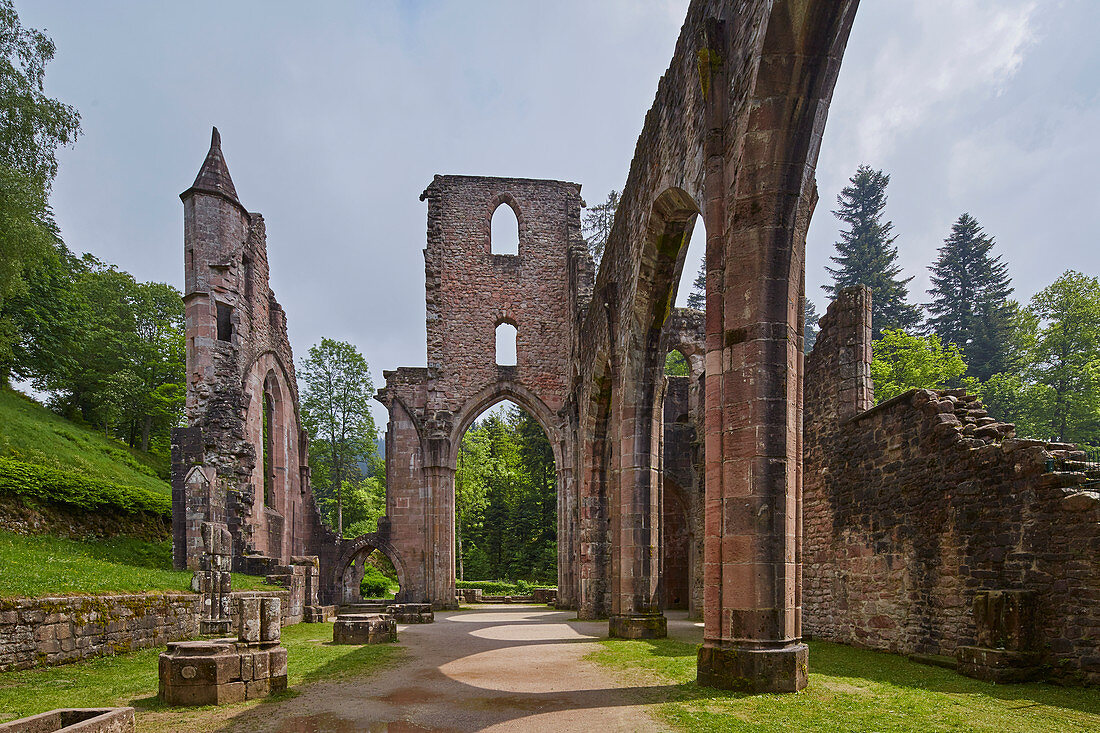 Klosterruine Allerheiligen, Oberes Lierbachtal, Bei Oppenau, Nördlicher Schwarzwald, Baden-Württemberg, Deutschland