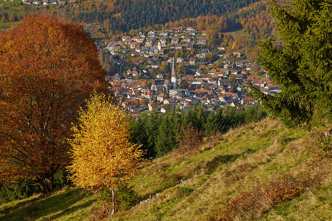 Blick auf Schönau an Herbsttag, Wiesental, Südlicher Schwarzwald, Baden-Württemberg, Deutschland, Europa