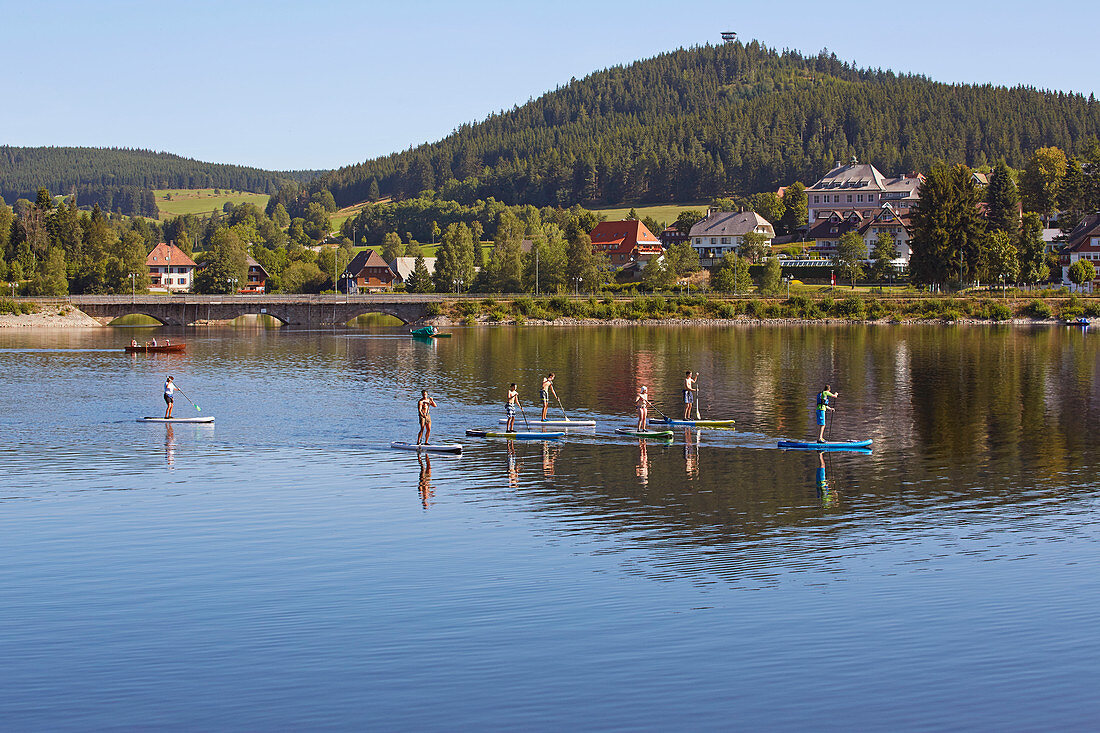 Stand up paddlers on summer morning at Schluchsee, Southern Black Forest, Black Forest, Baden-Wuerttemberg, Germany, Europe