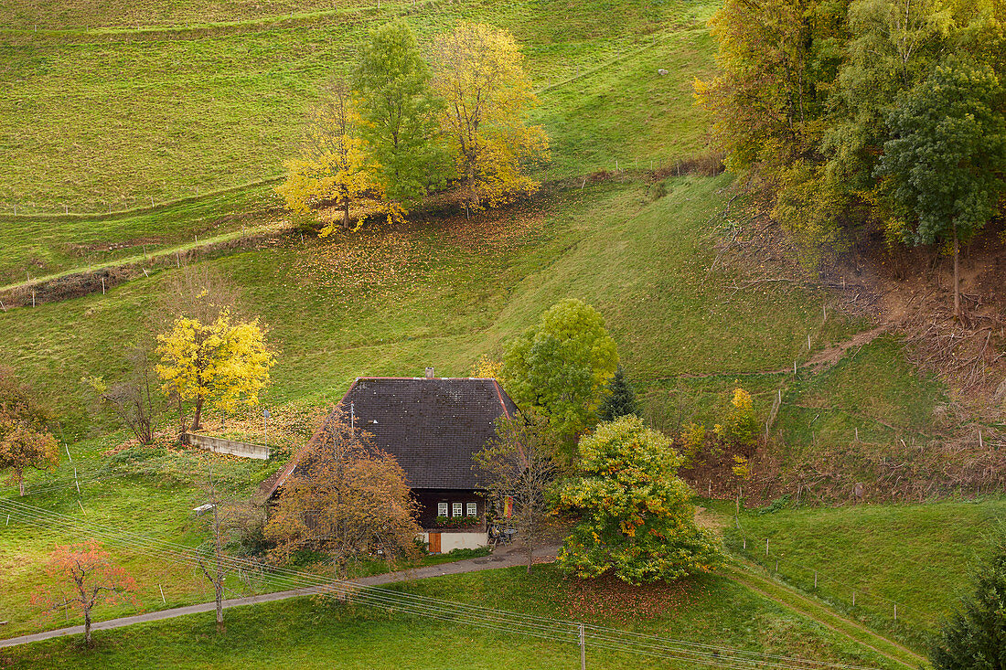 Bauernhof im Obermünstertal, Südlicher Schwarzwald, Baden-Württemberg, Deutschland, Europa
