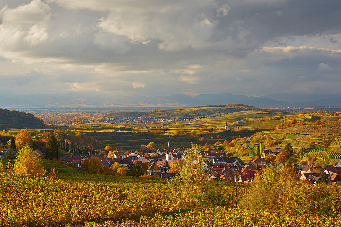 Blick auf Bickensohl, Oberrotweil, Burkheim, Vogesen, Kaiserstuhl, Breisgau, Baden-Württemberg, Deutschland, Europa
