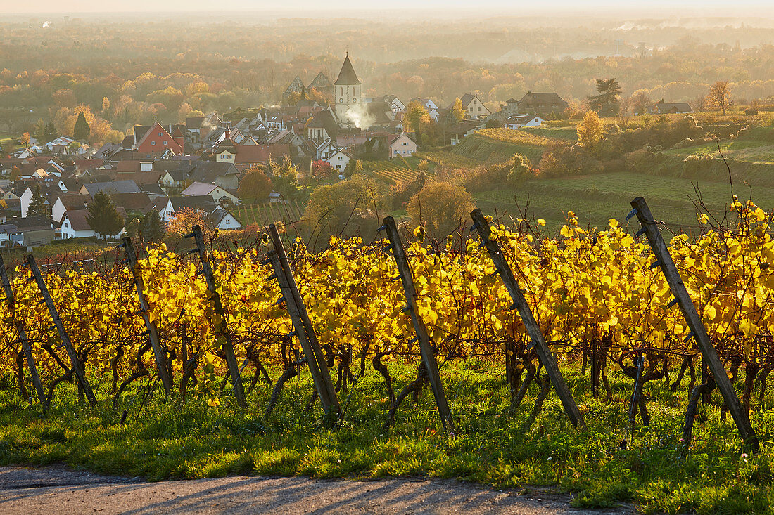 Blick auf Burkheim in Weinbergen, Kaiserstuhl, Baden-Württemberg, Deutschland, Europa