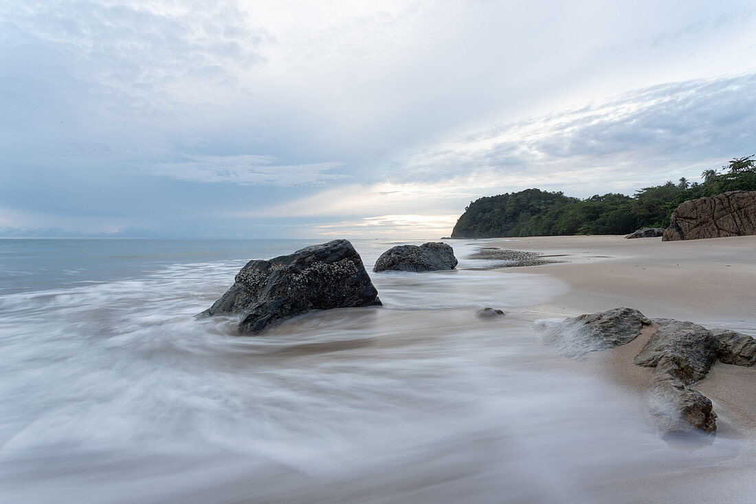 The beach at Tanjung Datu National Park in Sarawak, Malaysia is a green turtle sanctuary where the eggs and baby turtles are protected.