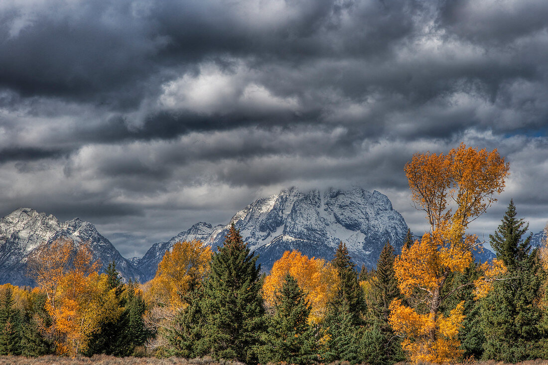Grand-Teton-Gebirge mit Herbstfärbung, Grand-Teton-Nationalpark, Wyoming, USA LA006629
