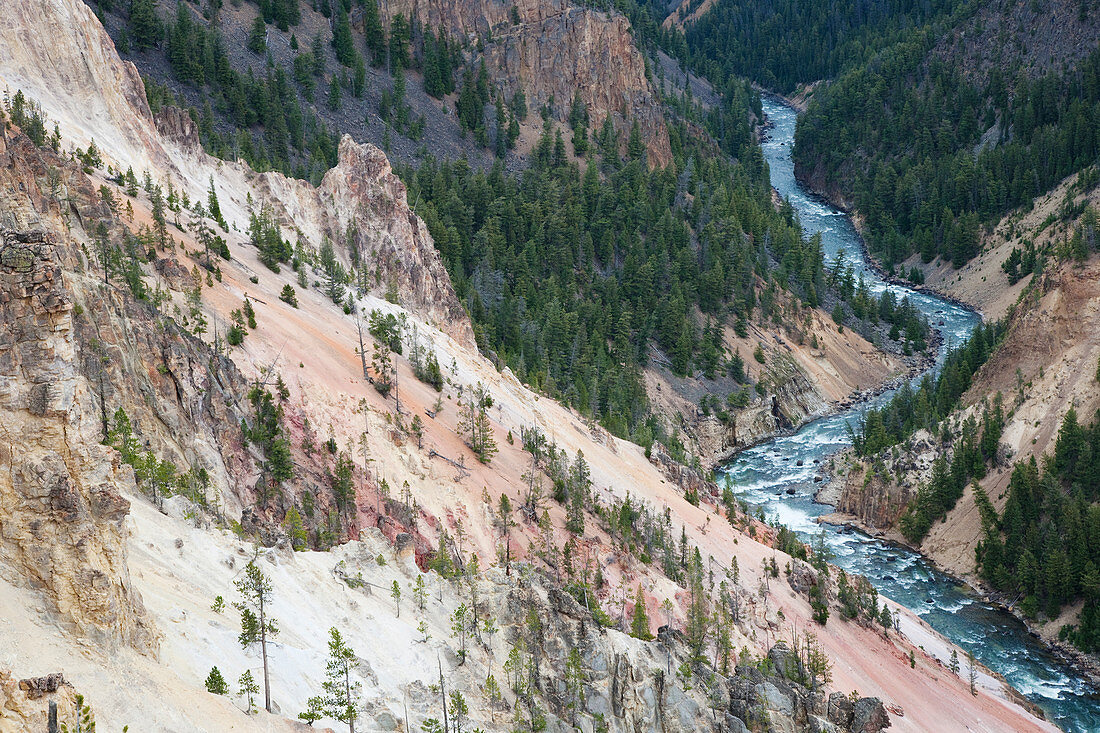 Yellowstone River fließt durch den Canyon, Yellowstone-Nationalpark, Wyoming, USA LA006751