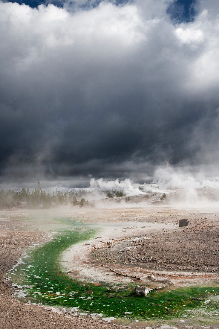 Norris Geyser Basin with approaching storm clouds Yellowstone National Park Wyoming. USA LA006842