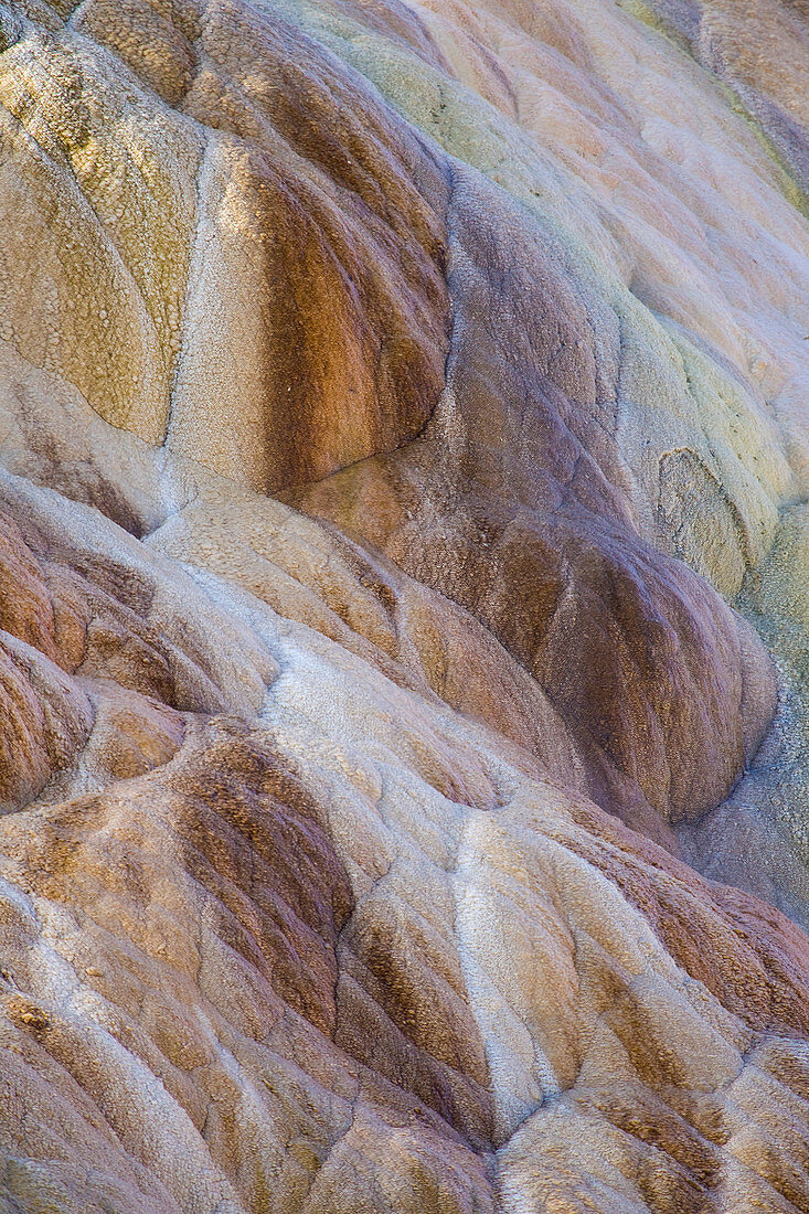 Palette Spring - Formen und Farben der Mineralien, Mammoth Hot Springs, Yellowstone-Nationalpark, Wyoming, USA LA007010