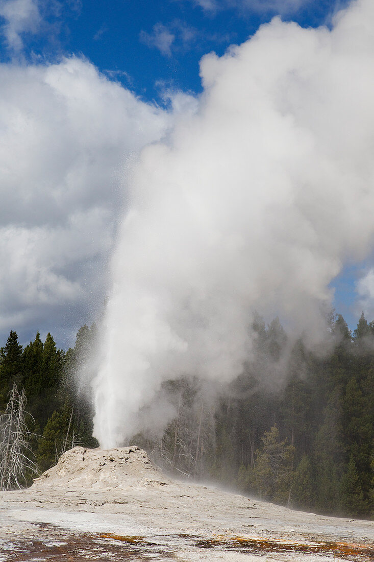 Lion Geyser, beim Ausbruch des Oberen Geysir-Beckens, Yellowstone-Nationalpark, Wyoming, USA LA007059