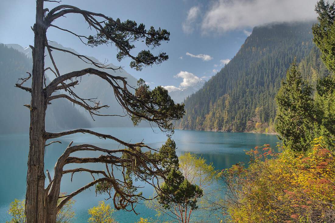 Langer See, Jiuzhaigou-Nationalpark, Sichuan, China LA007658