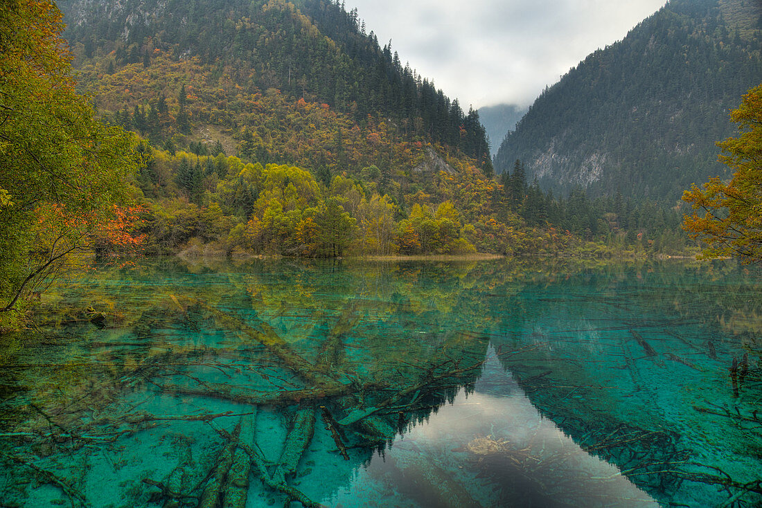 Mehrfarbiger See, Jiuzhaigou-Nationalpark, Sichuan, China LA007630