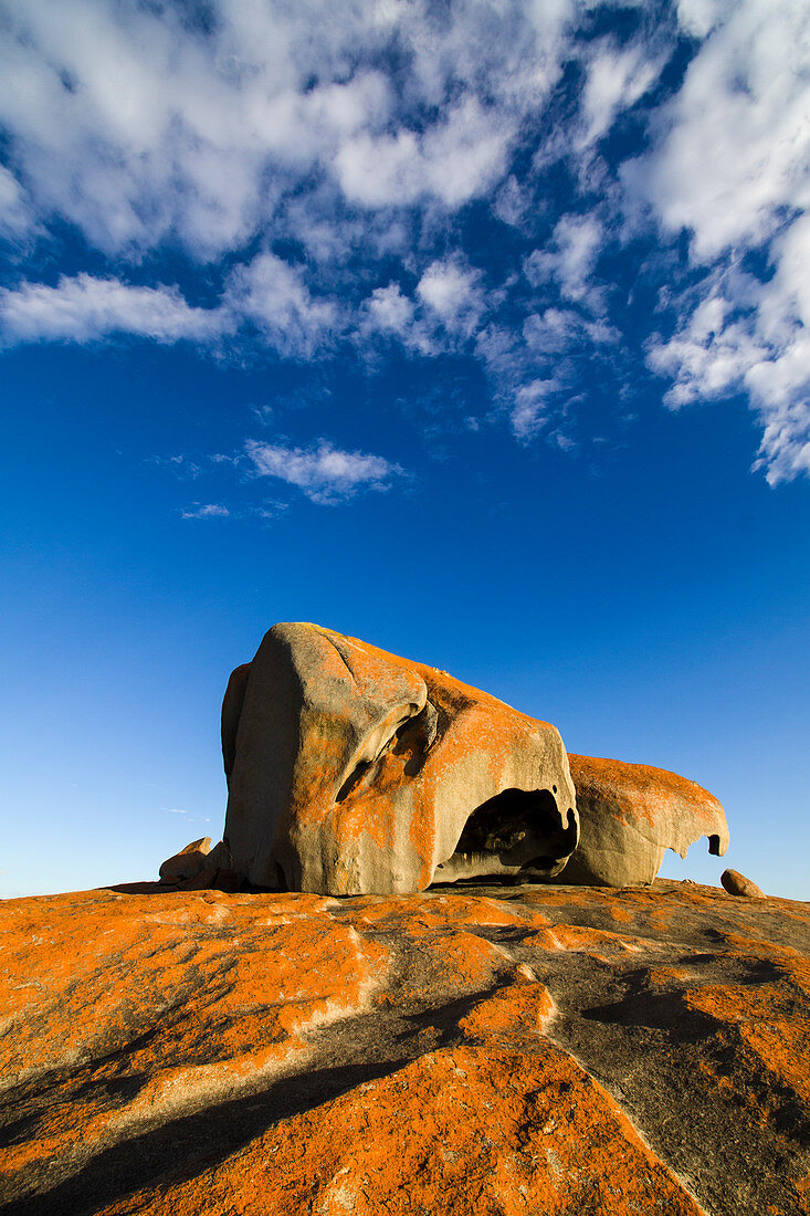 Bemerkenswerte Felsen am frühen Morgen, Flinders-Chase-Nationalpark, Känguru-Insel, Südaustralien, Australien LA009294