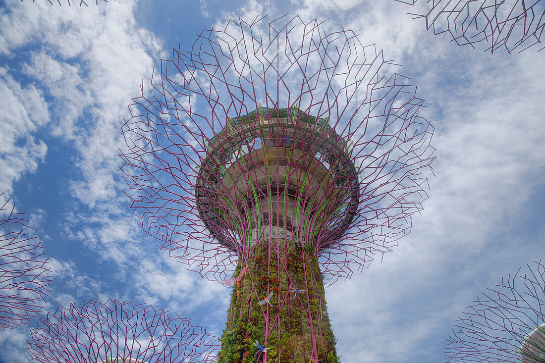 Supertrees, Marina Bay Gardens, Singapur TV000446