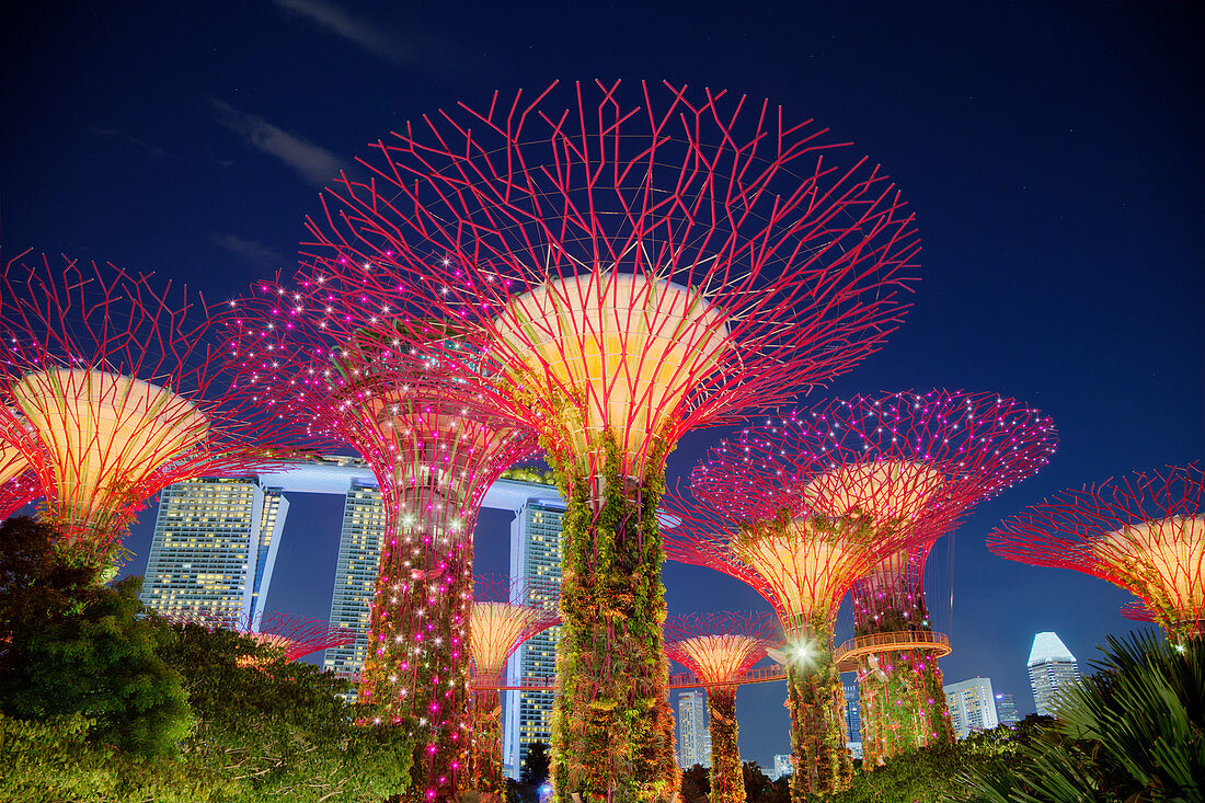 Nachts beleuchtete Supertrees, Marina Bay Gardens, Singapore TV000490