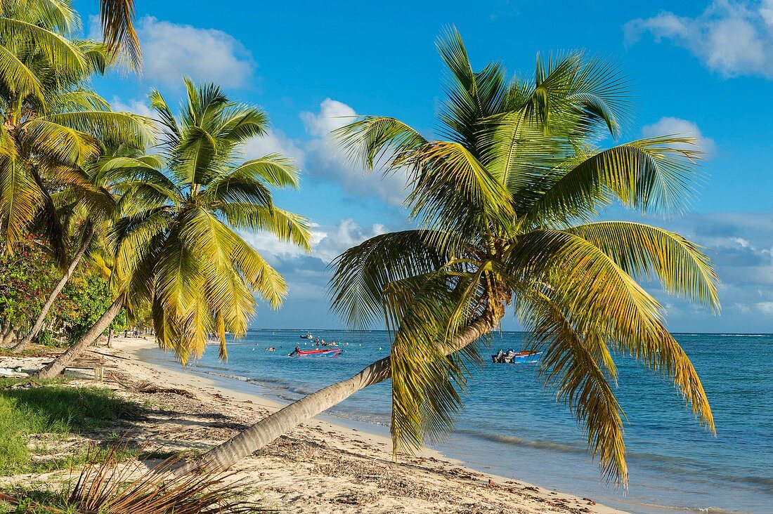 France, Guadeloupe (French West Indies), Marie Galante, Grand Bourg, Grand Bourg beach