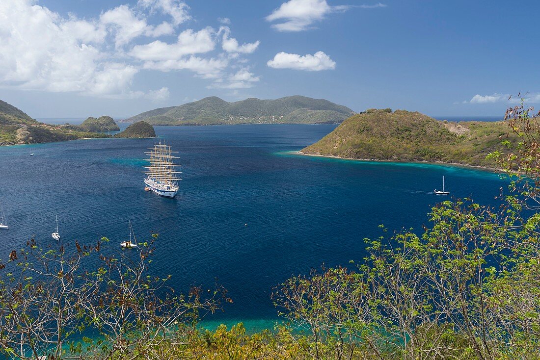 France, Guadeloupe (French West Indies), Les Saintes archipelago, Terre de Haut, the Royal Clipper, a steel hulled five masted ship used as a cruise ship, in Les Saintes bay, the third most beautiful bay in the world