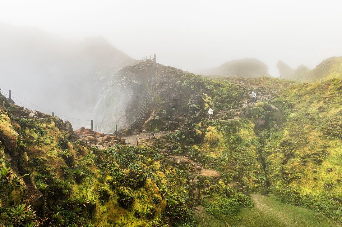 France, Guadeloupe (French West Indies), Basse Terre, Guadeloupe National Park, Saint Claude, hiking to the Soufriere volcano, fumaroles escaping from the crater (alt :1476m)