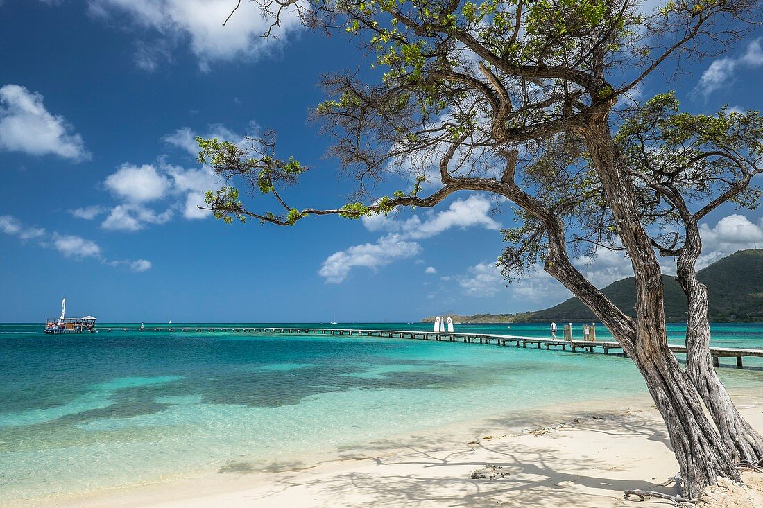 France, Martinique, Sainte-Anne, Pointe du Marin beach