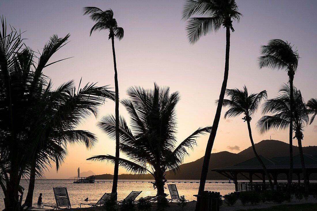 France, Martinique, Sainte-Anne, Pointe du Marin beach at sunset