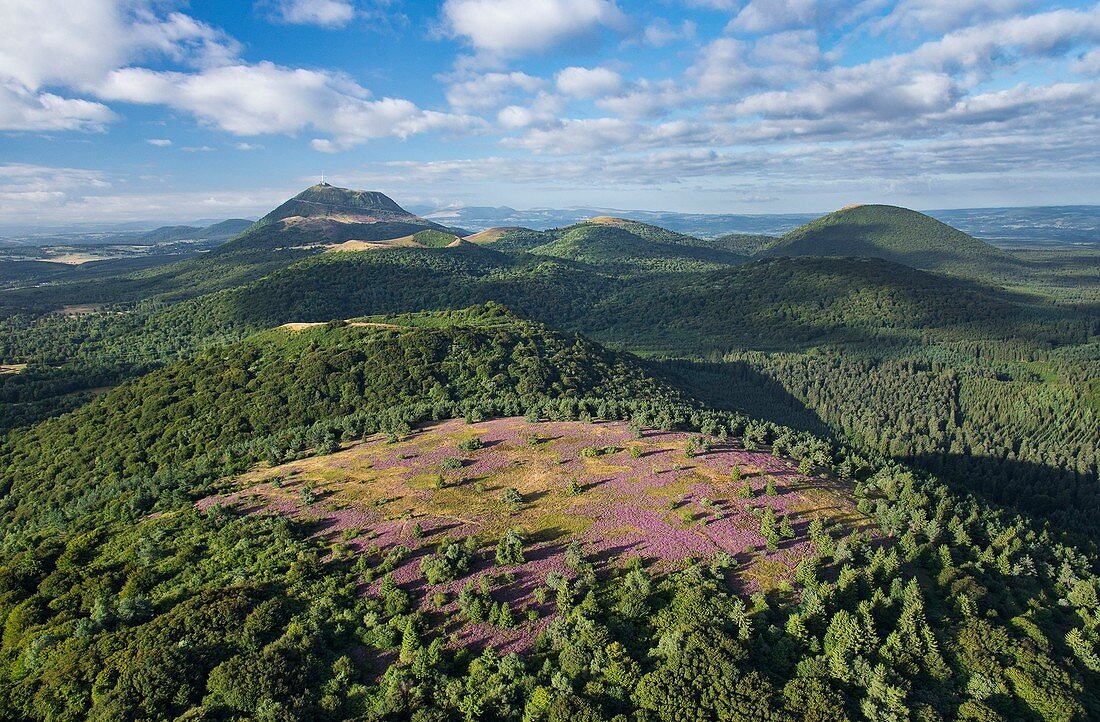 France, Puy de Dome, area listed as World Heritage by UNESCO, the Regional Natural Park of the Volcanoes of Auvergne, Chaine des Puys, Orcines, the summit of the Grand Sarcoui volcano covered with heather, the Puy de Dome volcano in the background (aerial view)