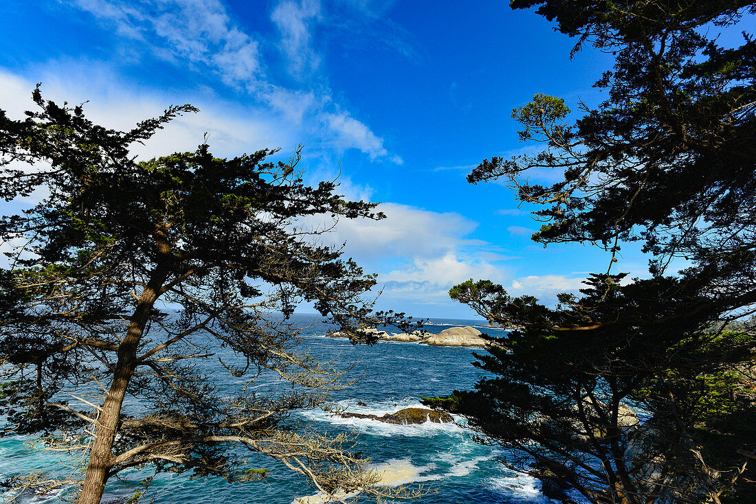 View of pine trees and rocks in the Pacific Ocean on Highway 1, at Carmel-By-The-Sea, California, USA