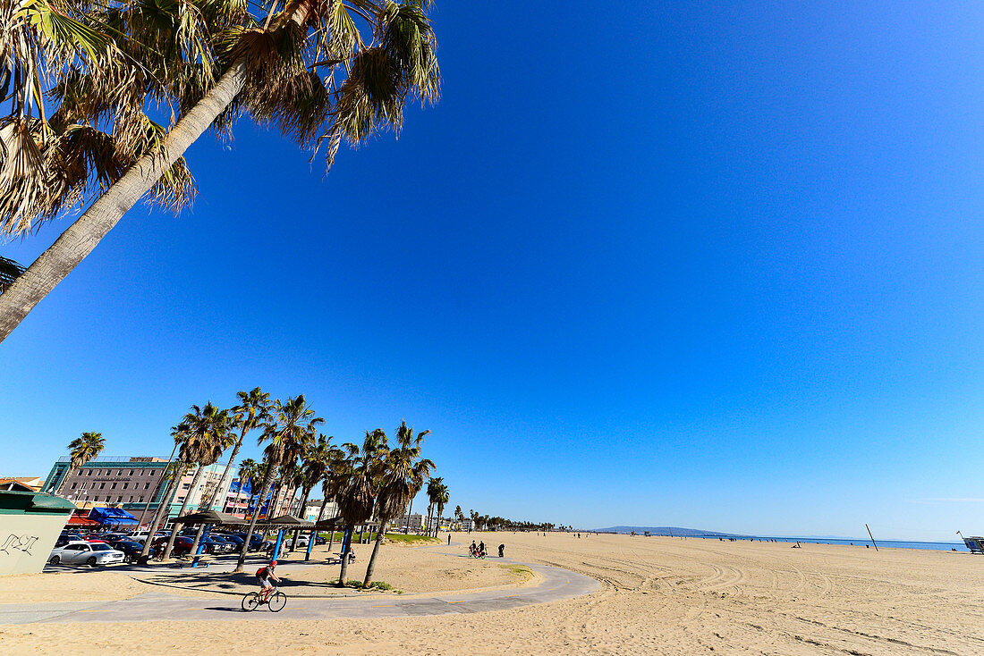 Blick auf Palmen und den Strand am Venice Beach, Kalifornien, USA