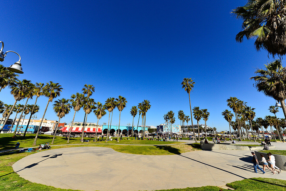 People enjoy their time in a park with palm trees on Ocean Front Walk, Venice Beach, California, USA