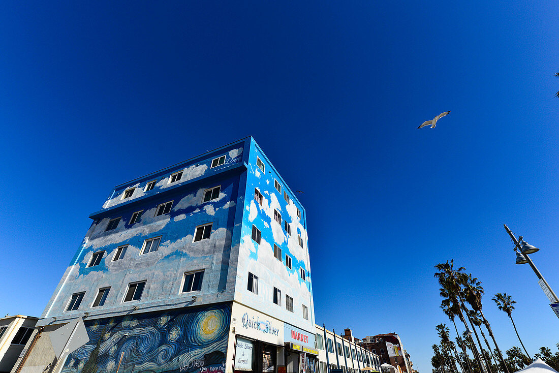 A seagull in the deep blue sky in front of the colorful house facade on Venice Beach, California, USA