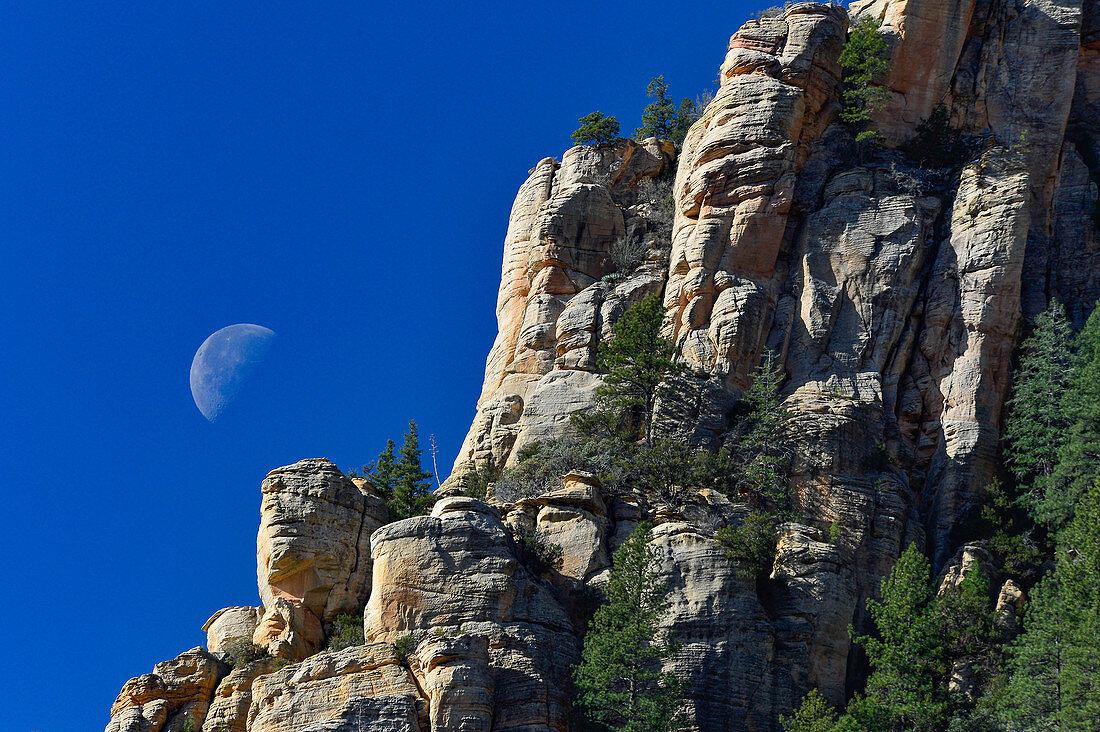 Blick auf den Mond und den tiefblauen Himmel in den Felsen des Red Rock State Park, Sedona, Arizona, USA