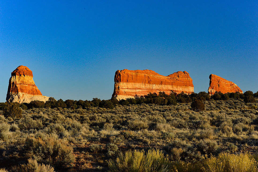 Intensive rote Felsen in der Landschaft des Red Rock State Park bei Sedona, Arizona, USA