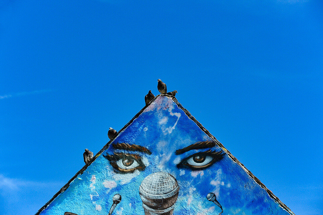 Pigeons on an elaborately painted house facade on Venice Beach, California, USA