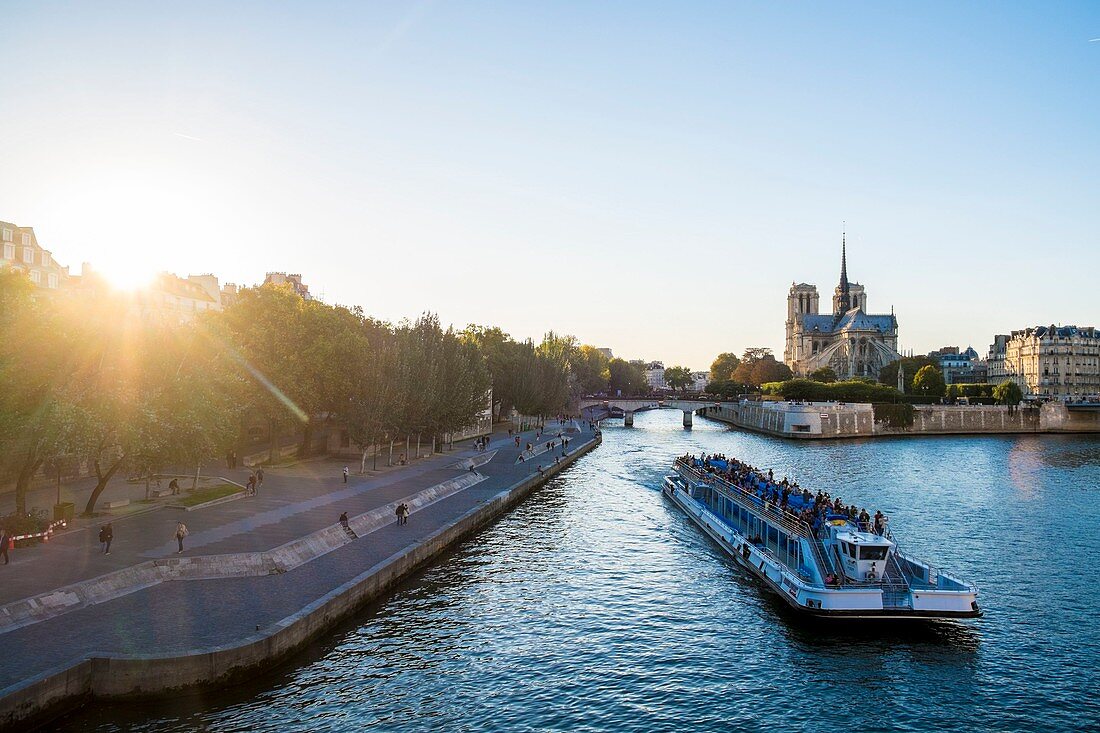 Frankreich, Paris, Gebiet als Weltkulturerbe der UNESCO, Ile de la Cité, Notre Dame de Paris, Flussboot
