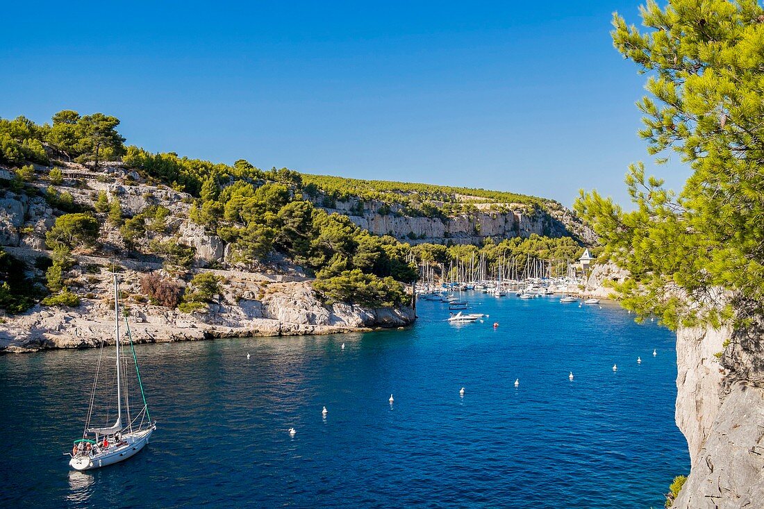 Frankreich, Bouches-du-Rhône, Cassis, Nationalpark Calanques, die Bucht von Port Miou