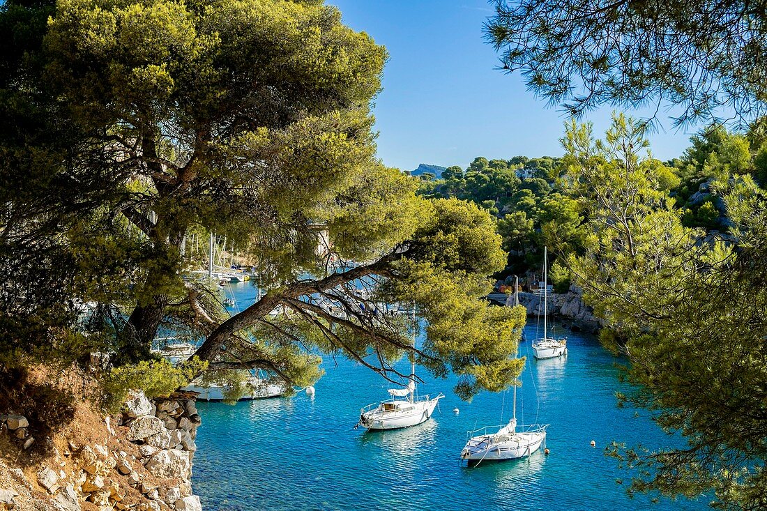 Frankreich, Bouches-du-Rhône, Cassis, Nationalpark Calanques, die Bucht von Port Miou