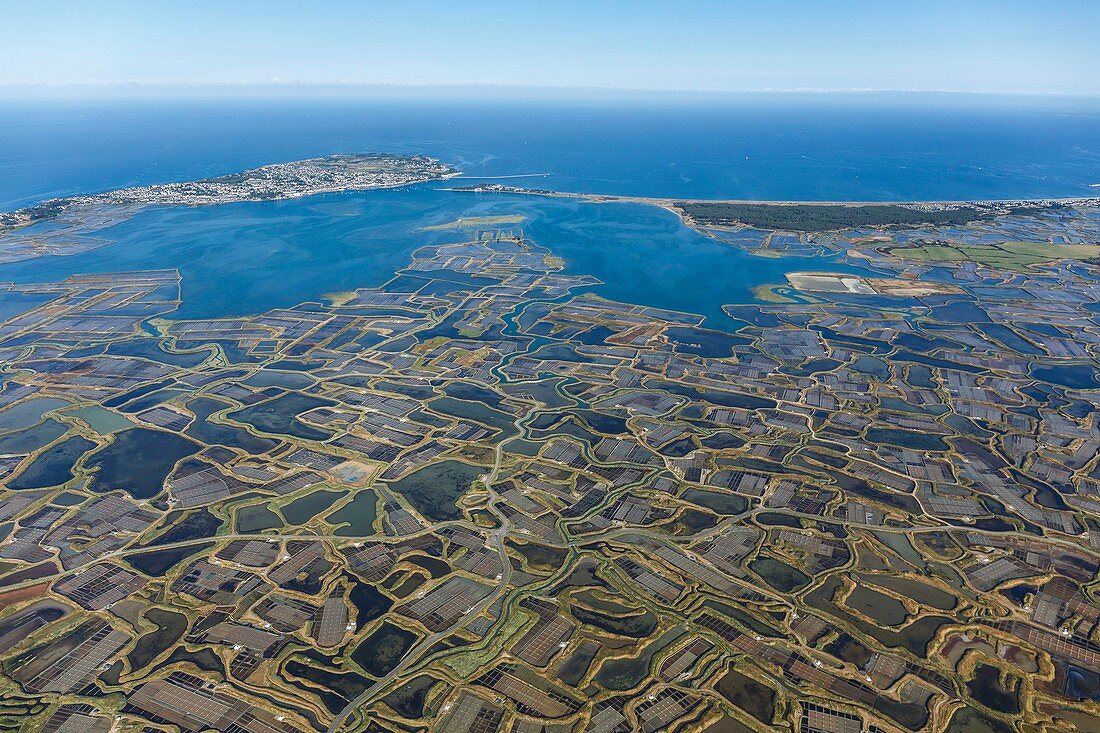 France, Loire Atlantique, Guerande, Le Croisic peninsula and Guerande salt marshes (aerial view)