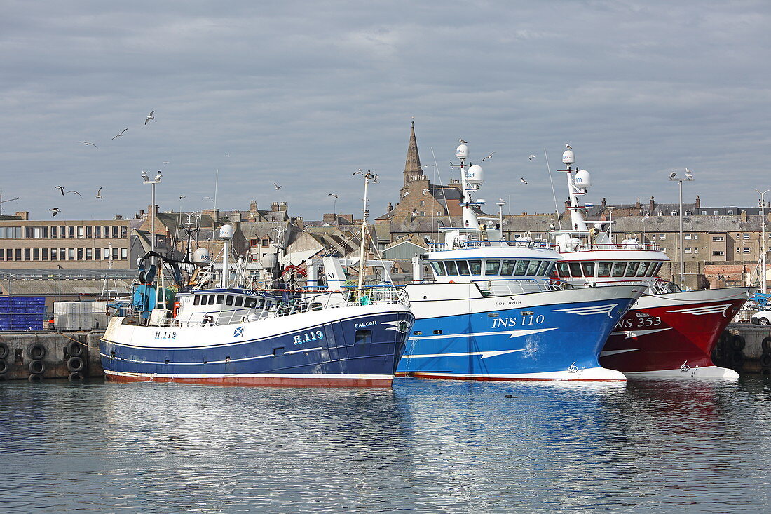 Harbor with fishing boats, Petershead, Aberdeenshire