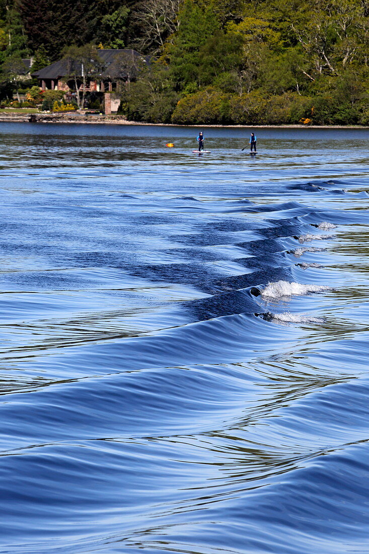 Stand Up Paddling in Loch Ness bei Aldourie Castle, Dores, Highlands 