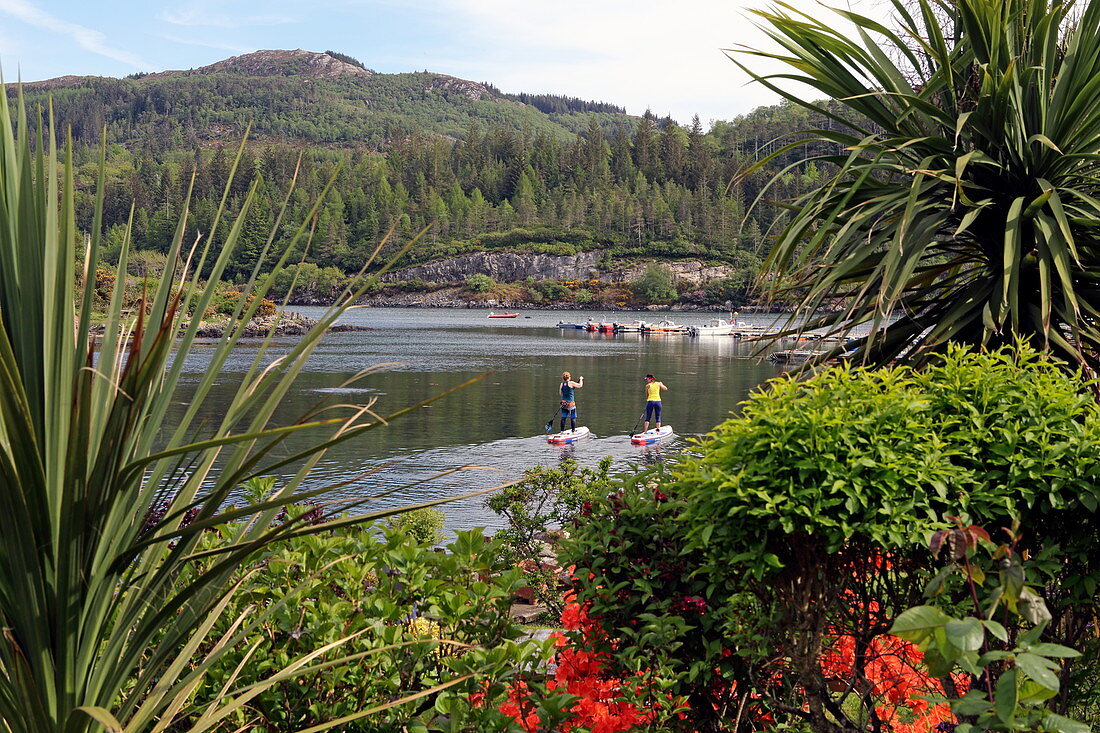 Stand-up paddle boarders at Loch Carron, Plockton, Highlands