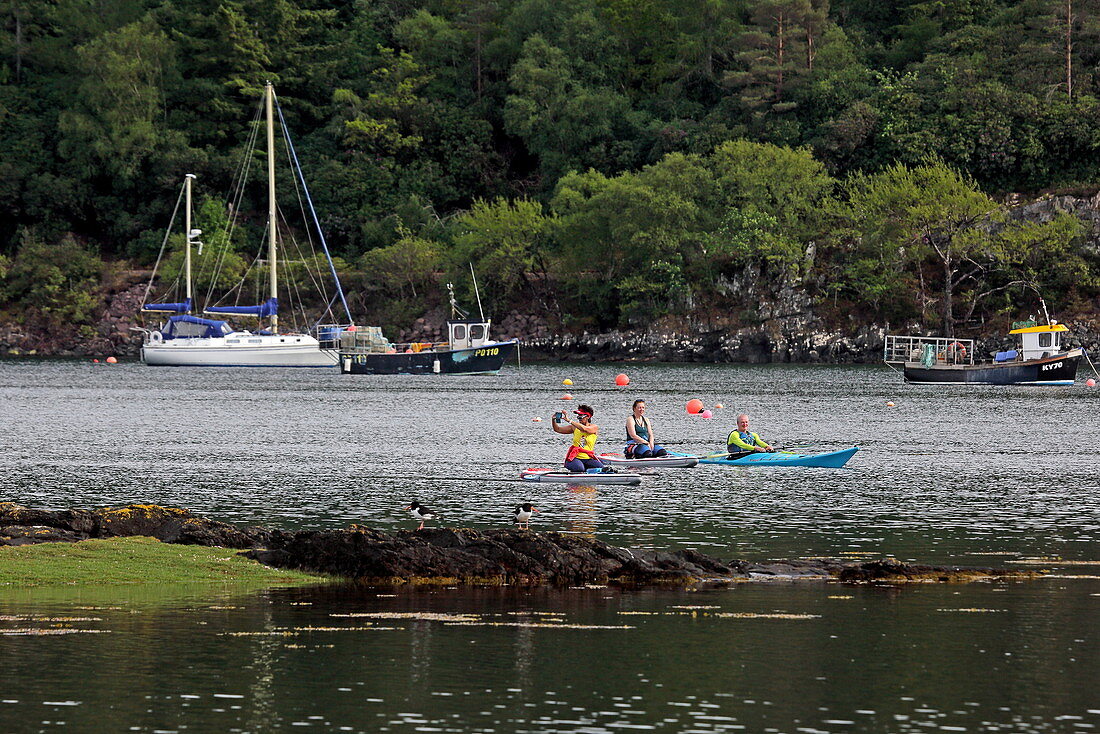 Stand up paddle boarding and kayaking in Plockton, Loch Carron, Highlands